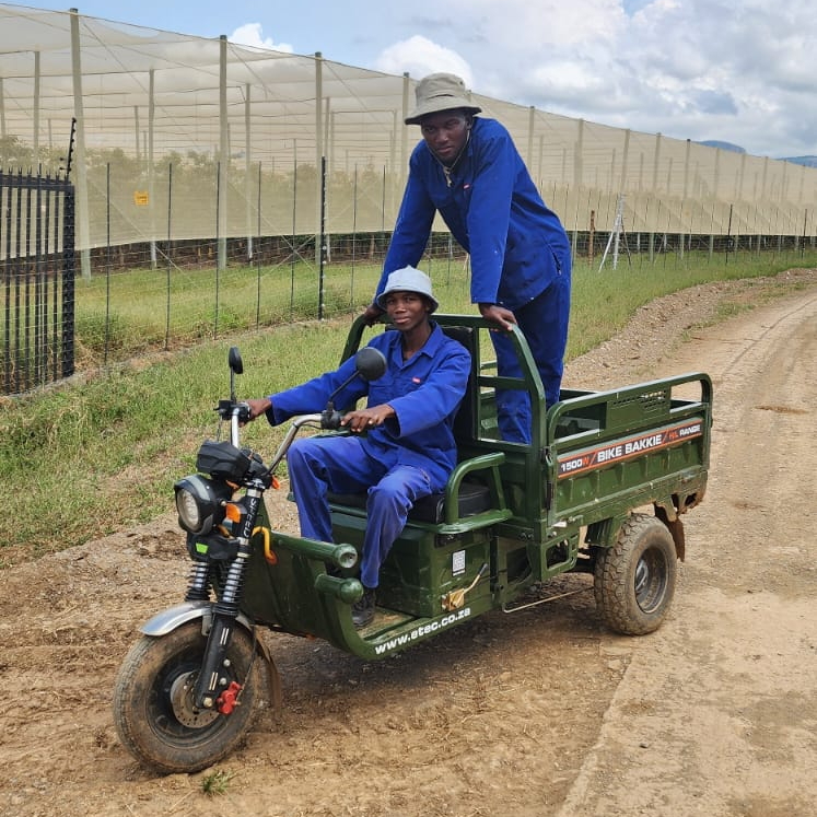 Bike Bakkie Xtreme 3000W - Image 2